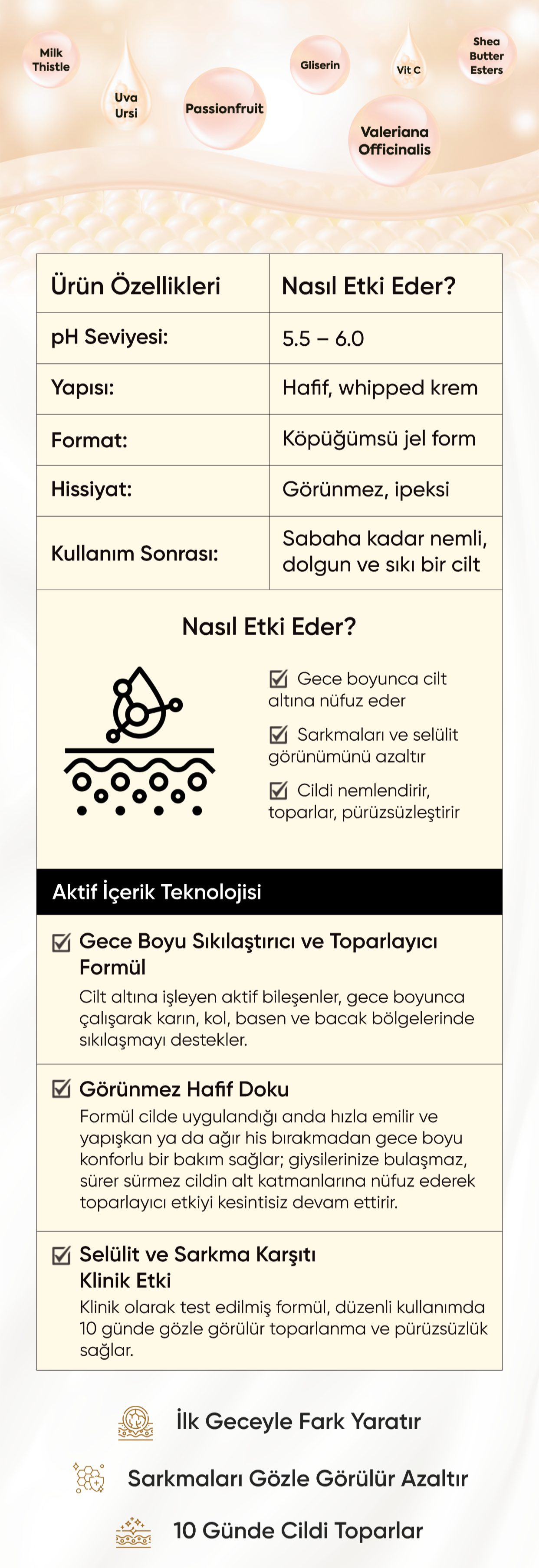 Promotional Imasge 1